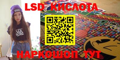 прущие грибы Краснодар