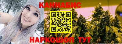 прущие грибы Краснодар