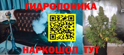 прущие грибы Краснодар