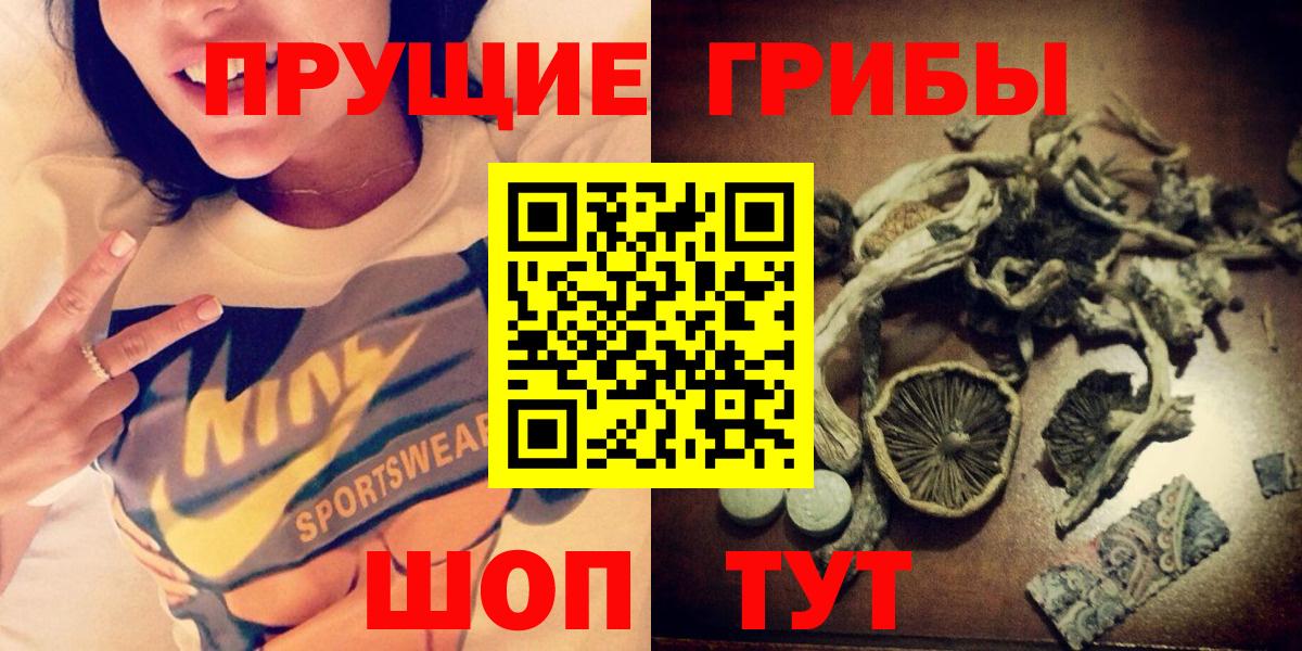 Галлюциногенные грибы Cubensis Кострома