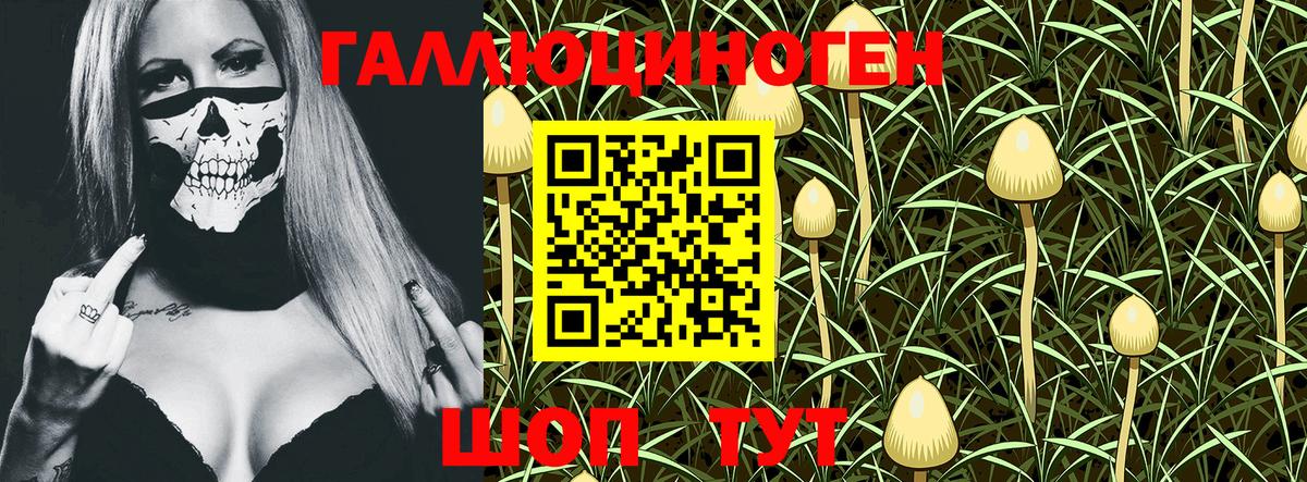 Псилоцибиновые грибы GOLDEN TEACHER  Вход с VPN  Псилоцибиновые грибы мухоморы  Кострома 